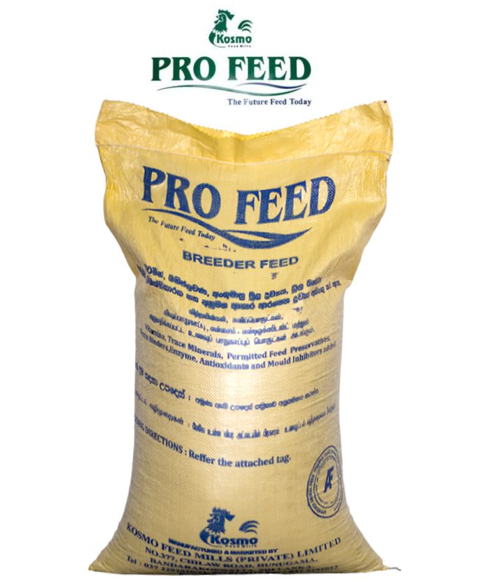 layer-breeder-pre-layer3